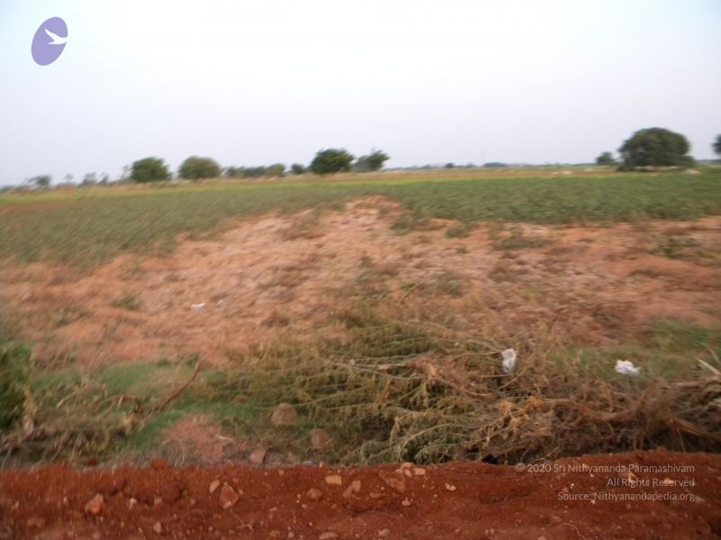 File:20091002 Photo 1100 1JqhGSRV5EFPpL 0sh IxOszlFvBKT ov.JPG