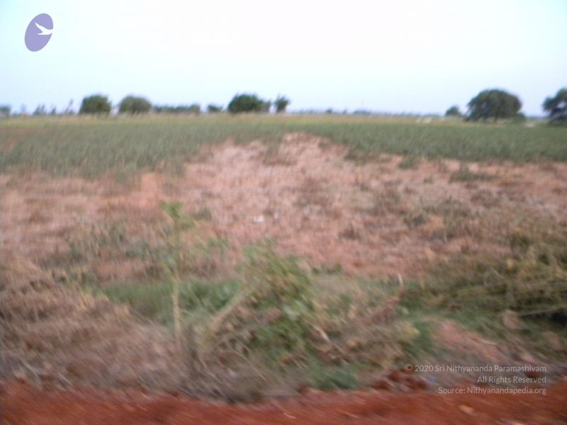 File:20091002 Photo 1101 1WN48DxUuX6a7bt3HlfZzb8TEOLd8eN20.JPG