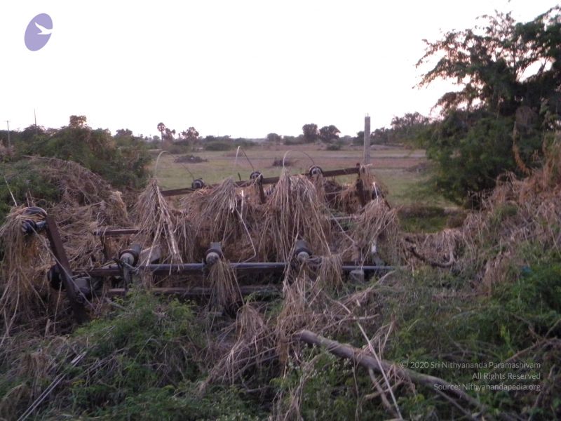 File:20091002 Photo 1110 1q8QW1qTBmpEYXaKk5vcgwucbpWH68MBH.JPG