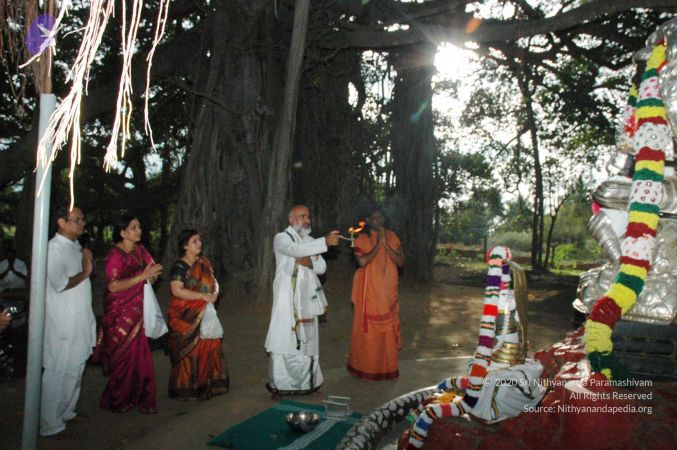 20091021 DSC 8134 CMP WM00-1.jpg