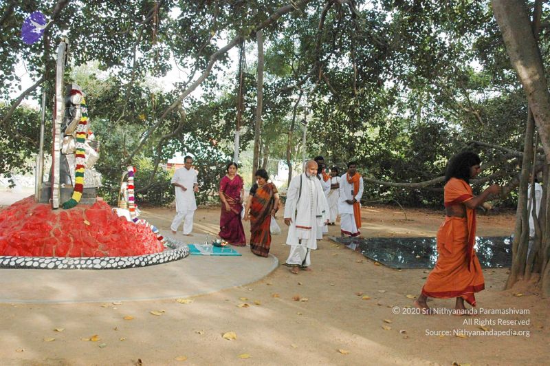 File:20091021 DSC 8141 CMP WM00-1.jpg