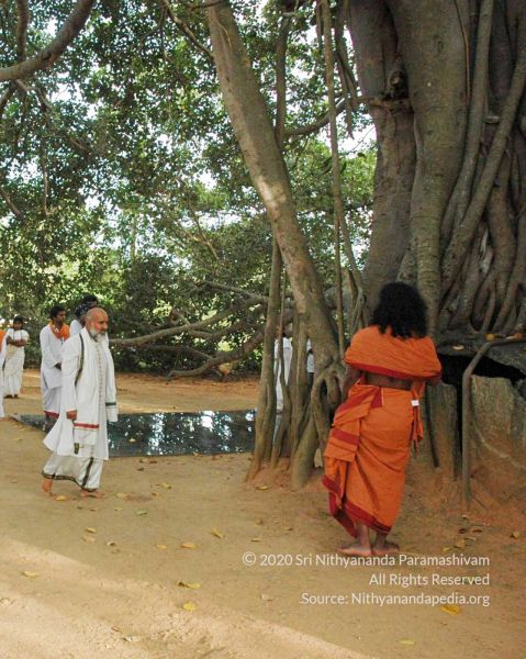 File:20091021 DSC 8142 CMP WM00-1.jpg