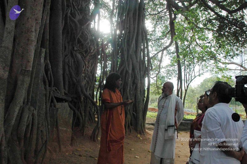 File:20091021 DSC 8143 CMP WM00-1.jpg