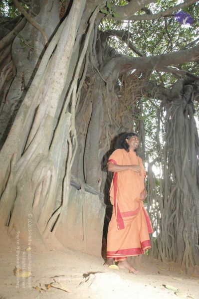 File:20091021 DSC 8150 CMP WM00-1.jpg