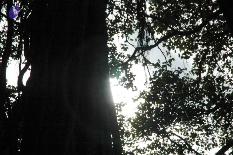 File:20091021 DSC 8151 CMP WM00-1.jpg