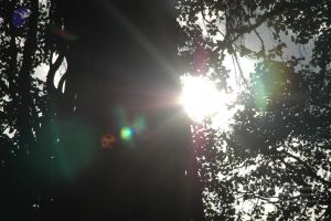 20091021 DSC 8153 CMP WM00-1.jpg