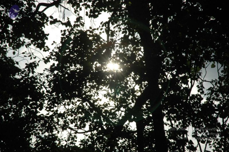 File:20091021 DSC 8158 CMP WM00-1.jpg