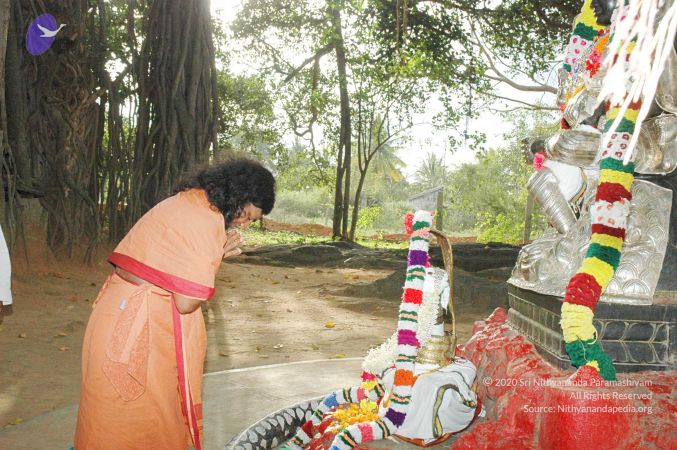 20091021 DSC 8160 CMP WM00-1.jpg