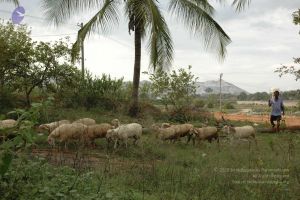 20091021 DSC 8170 CMP WM00-1.jpg