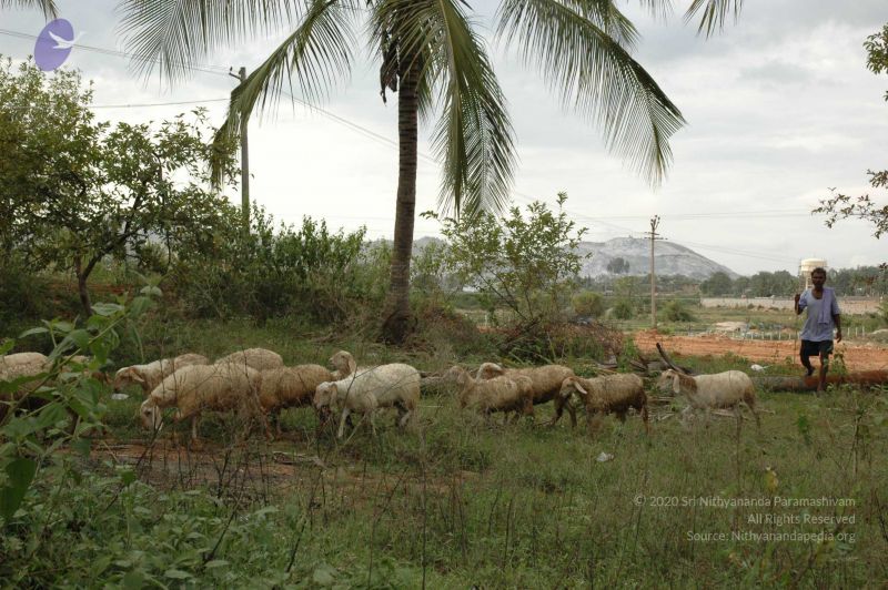 File:20091021 DSC 8170 CMP WM00-1.jpg