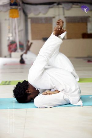 20091107 IMG 3133 CMP WM01.jpg