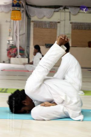 20091107 IMG 3136 CMP WM01.jpg