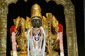 20091109 20091109 09Nov2009 Maha Lakshmi Puja 1480100100.jpg