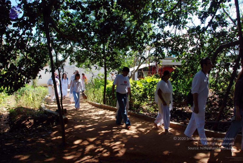 File:2009111620091116 Photo 10 17yD5kjuKA70aMRIJhyjOz1KdRi512dDe001.jpg