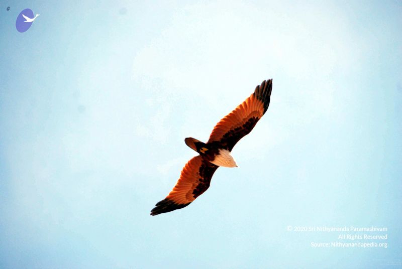 File:2009111620091116 Photo 144 12LsmRBiWT kux-vpvR0TulZXeDaPB2iX001.jpg