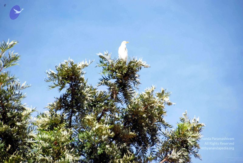 File:2009111620091116 Photo 200 11y6R h3nnB1Q9tQDKzmb ZGajBfL2Xe001.jpg