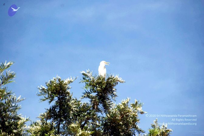 2009111620091116 Photo 222 1gllDfaJVykTfTgGWW85v-D3 K 8FtFM8001.jpg