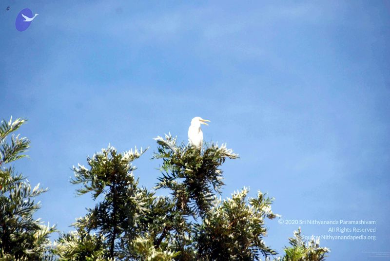 File:2009111620091116 Photo 222 1gllDfaJVykTfTgGWW85v-D3 K 8FtFM8001.jpg