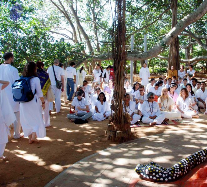 File:2009111620091116 Photo 7 1YZA4OOuUURP3-1-2im49V GTOdyk1MMf001.jpg