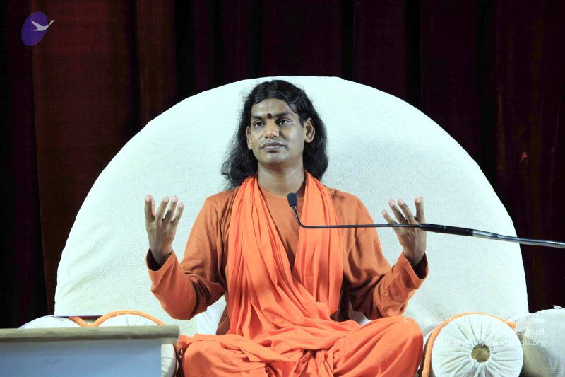 File:20091118IMG 6481 CMP WM001.jpg