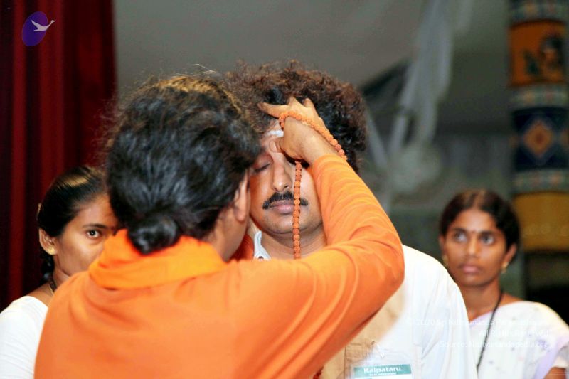 File:20091118IMG 6541 CMP WM001.jpg