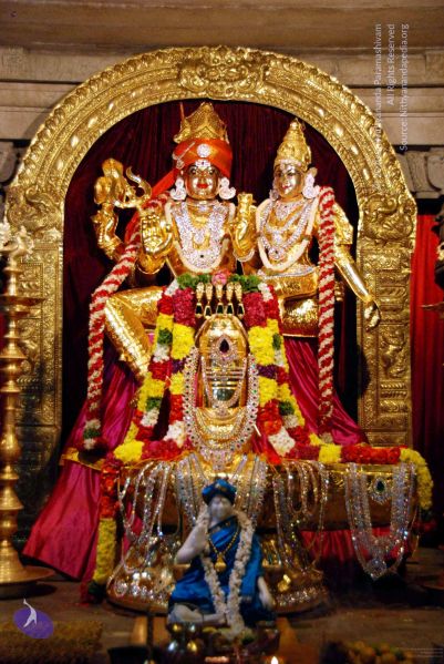 File:20091119DSC 9085 CMP WM001.jpg