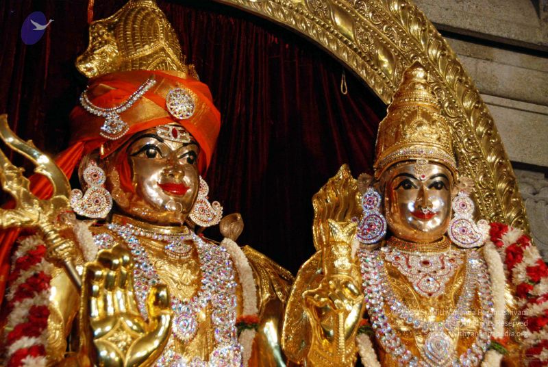 File:20091119DSC 9097 CMP WM001.jpg