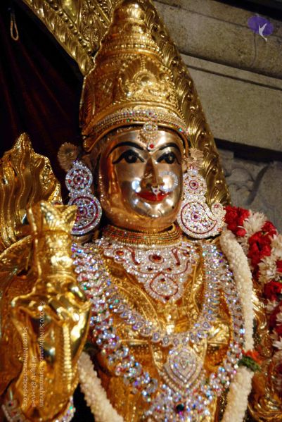 File:20091119DSC 9098 CMP WM001.jpg