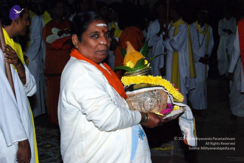 File:20091119DSC 9106 CMP WM001.jpg