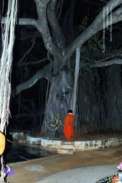 File:20091119DSC 9126 CMP WM001.jpg