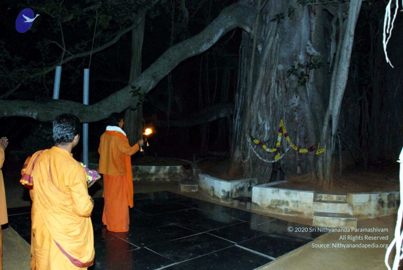 File:20091119DSC 9130 CMP WM001.jpg