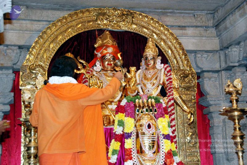 File:20091119DSC 9133 CMP WM001.jpg