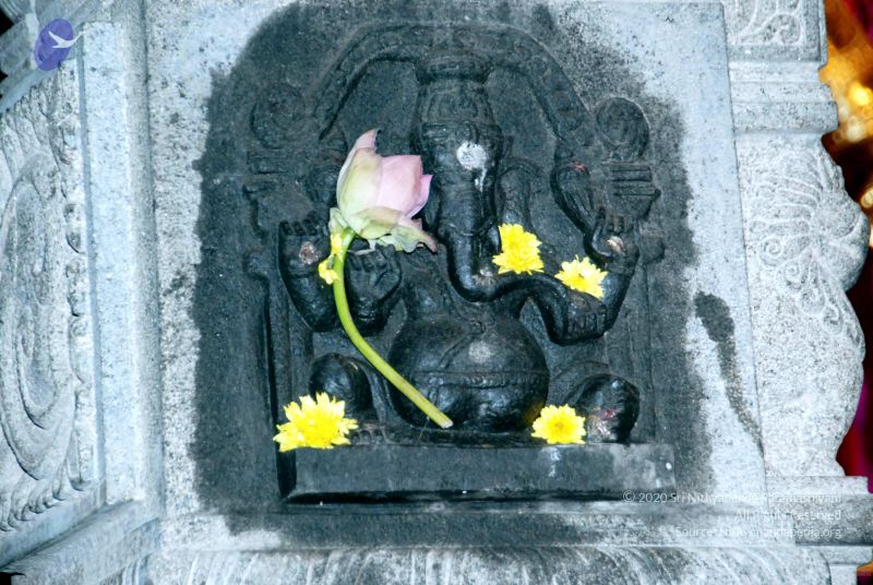 File:20091119DSC 9142 CMP WM001.jpg