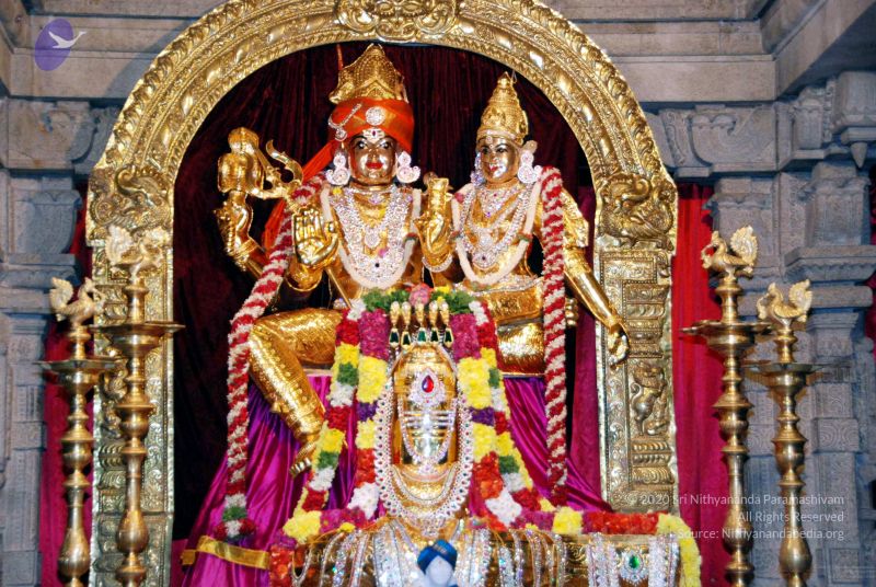 File:20091119DSC 9161 CMP WM001.jpg