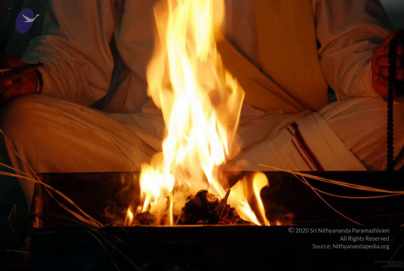 File:20091119DSC 9178 CMP WM001.jpg