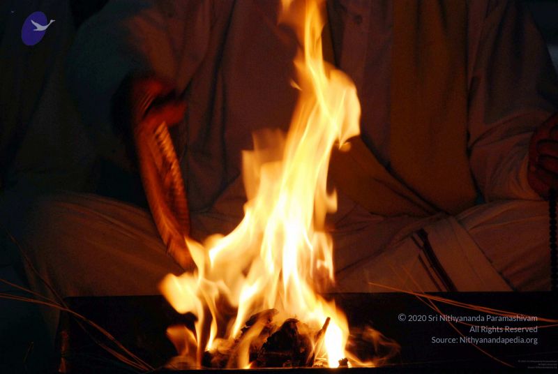 File:20091119DSC 9179 CMP WM001.jpg