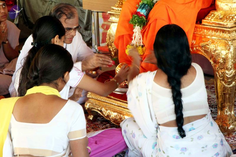 File:20091119IMG 6646 CMP WM001.jpg