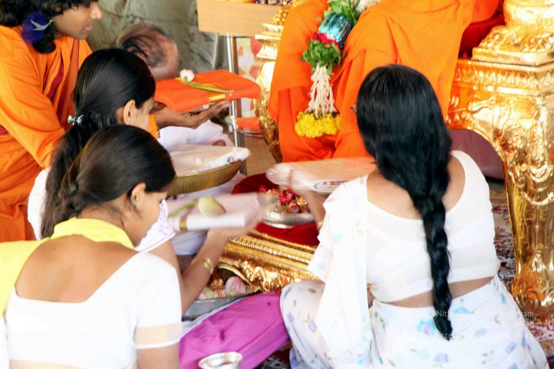 File:20091119IMG 6657 CMP WM001.jpg