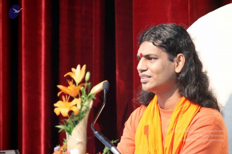 File:20091119IMG 6711 CMP WM001.jpg