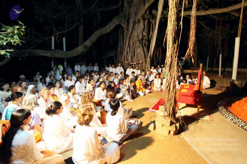 File:20091119IMG 6798 CMP WM001.jpg