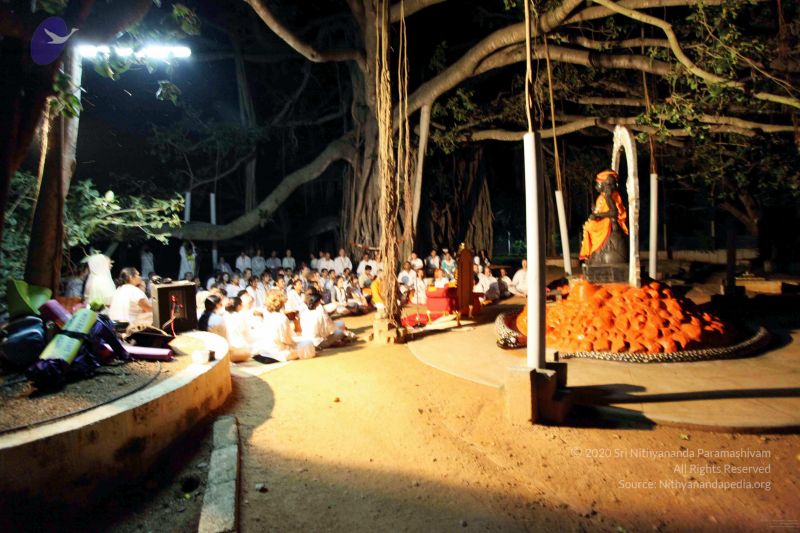 File:20091119IMG 6805 CMP WM001.jpg