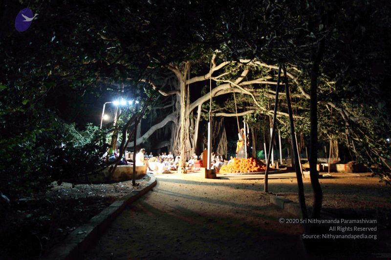 File:20091119IMG 6807 CMP WM001.jpg