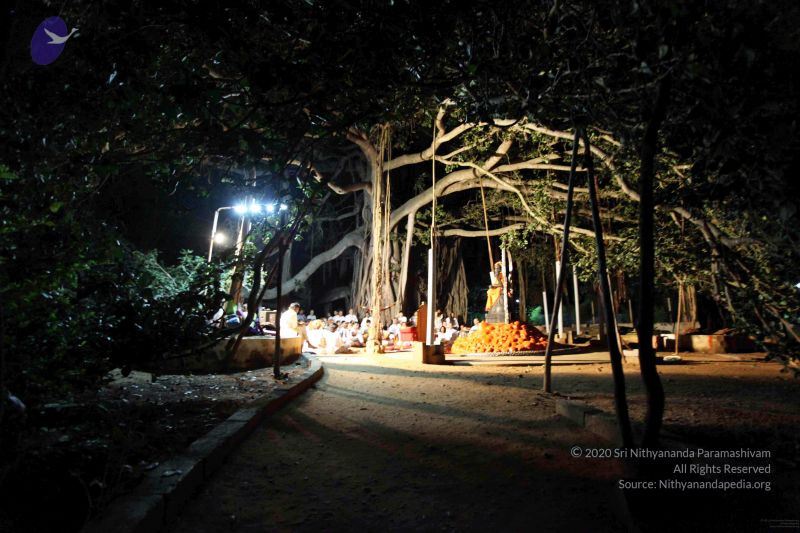 File:20091119IMG 6808 CMP WM001.jpg