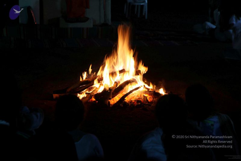 File:20091119IMG 6940 CMP WM001.jpg