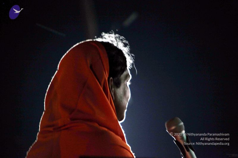 File:20091119IMG 6951 CMP WM001.jpg