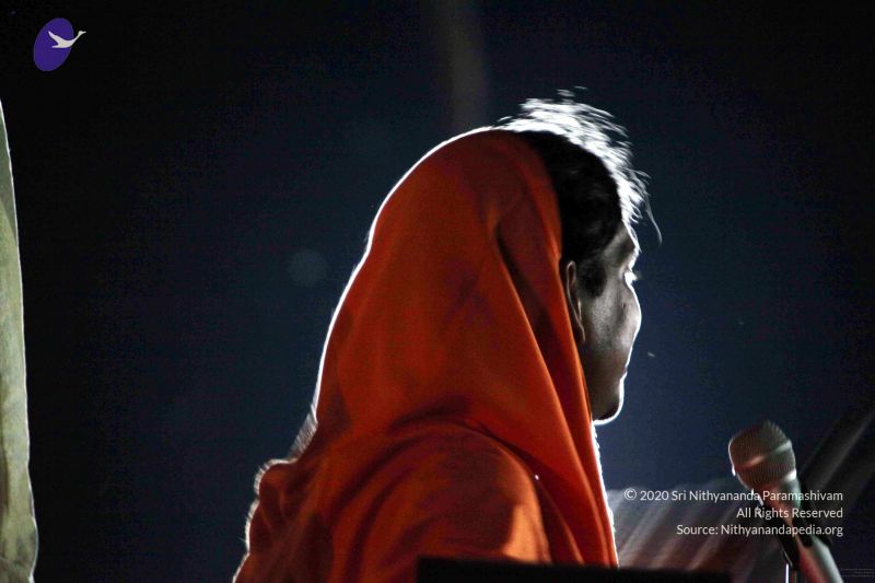 File:20091119IMG 6959 CMP WM001.jpg