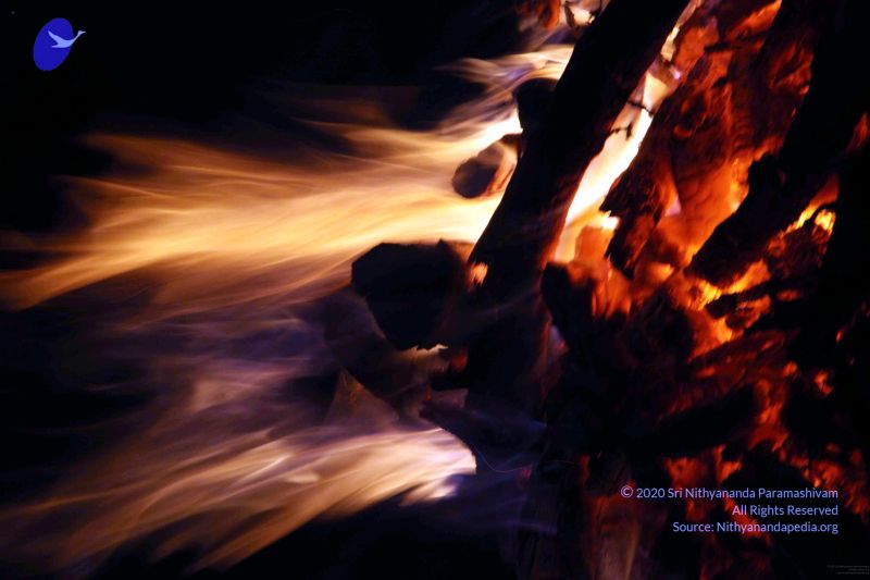 File:20091119IMG 6964 CMP WM001.jpg