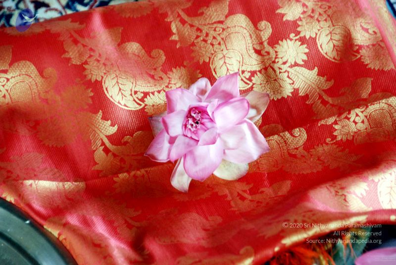 File:20091120DSC 9257 CMP WM001.jpg