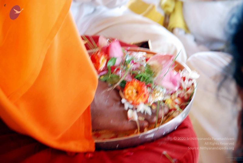 File:20091120DSC 9291 CMP WM001.jpg