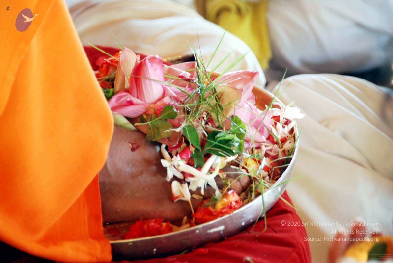 File:20091120DSC 9297 CMP WM001.jpg